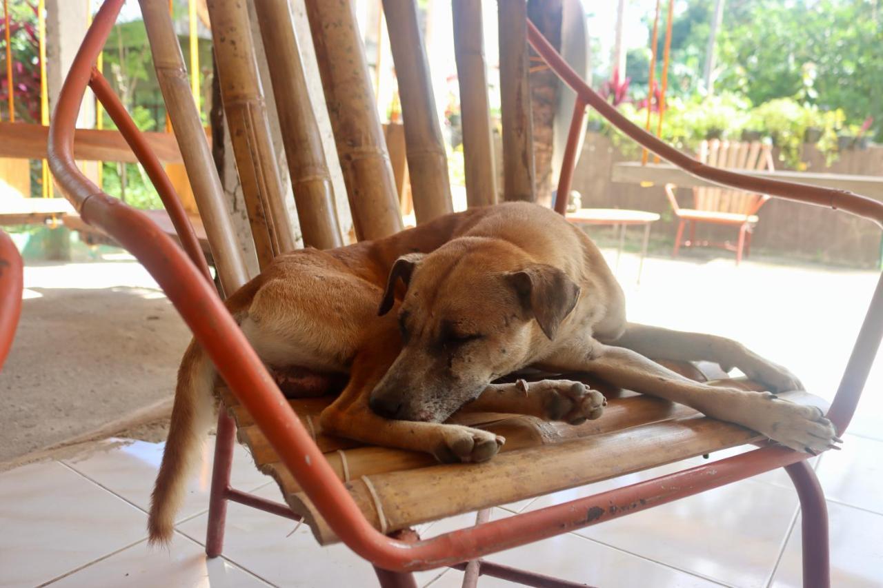 Bohol Hammock Hostel Batuan エクステリア 写真