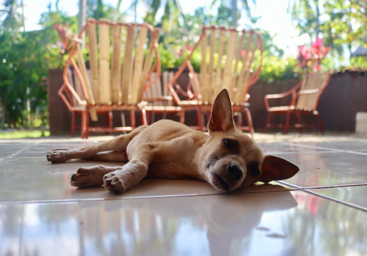 Bohol Hammock Hostel Batuan エクステリア 写真