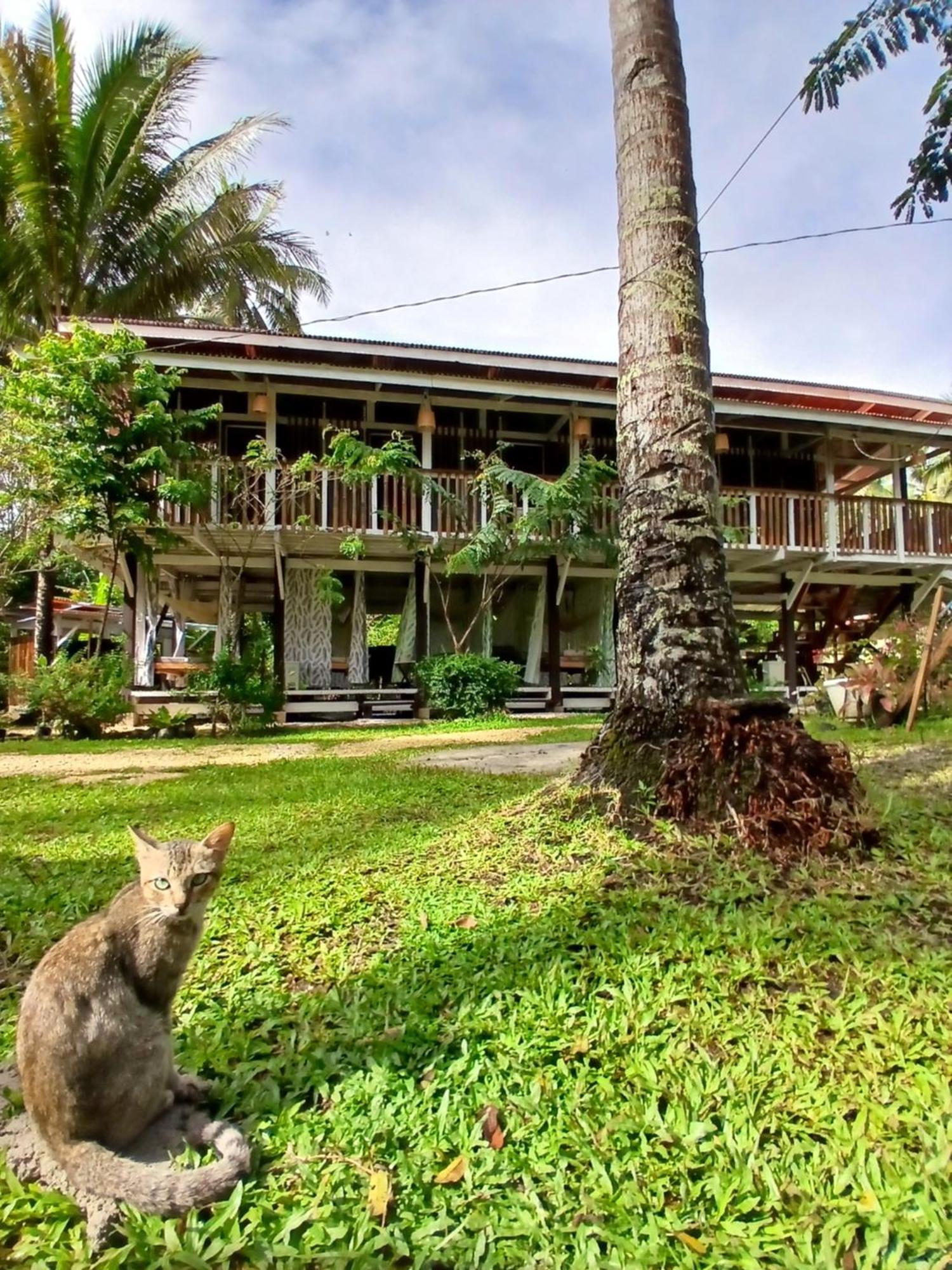 Bohol Hammock Hostel Batuan エクステリア 写真