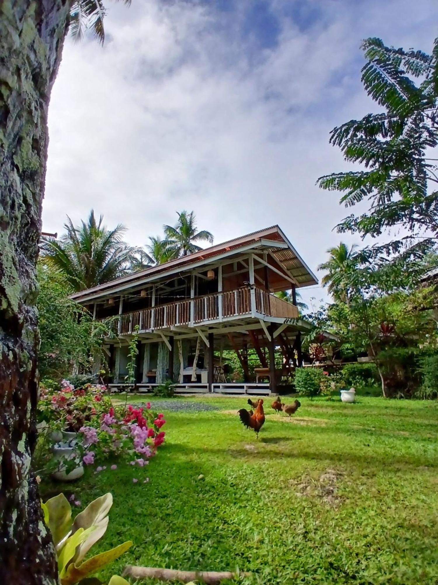 Bohol Hammock Hostel Batuan エクステリア 写真